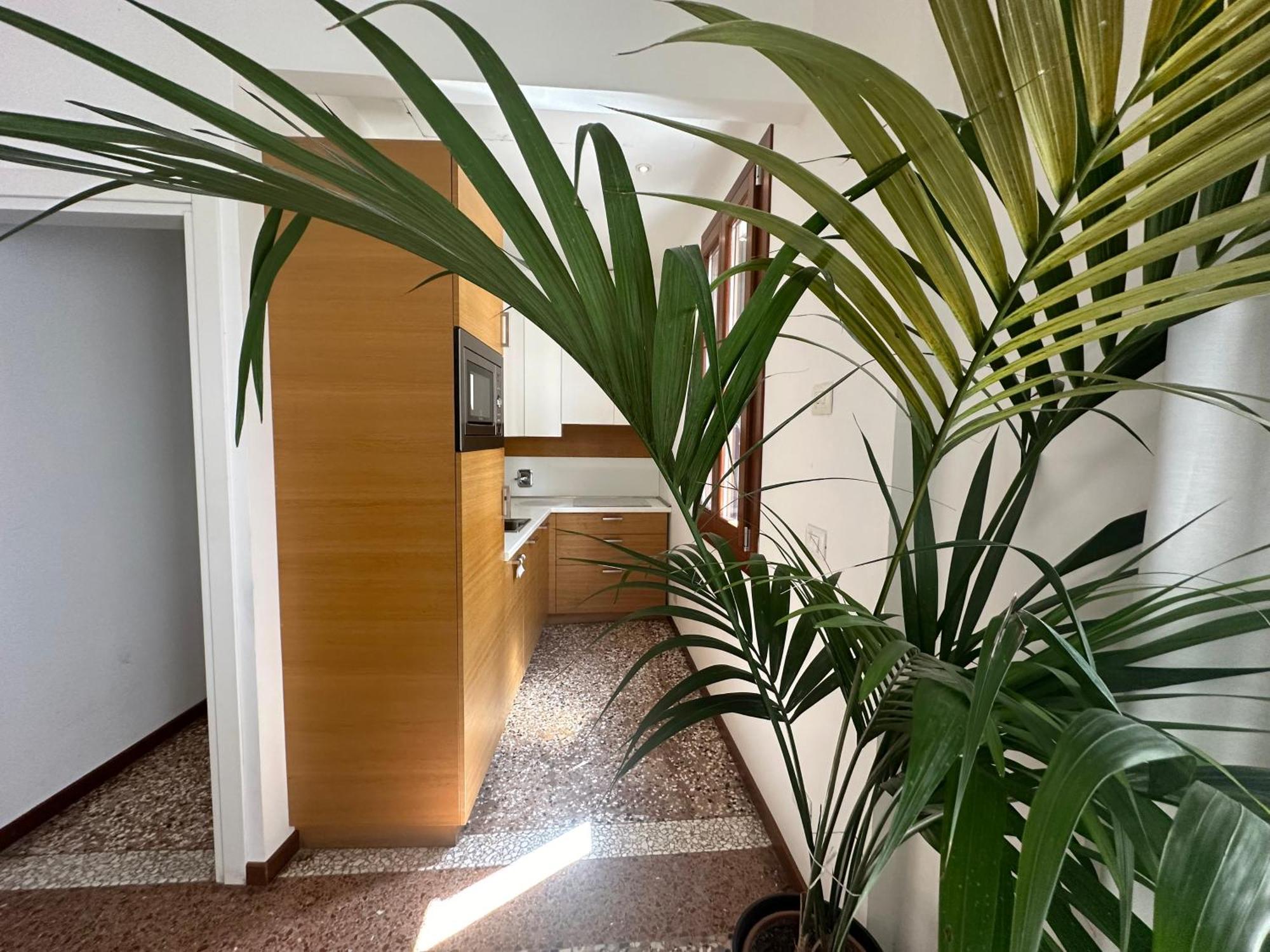 Ca' D'oro Apartamento *